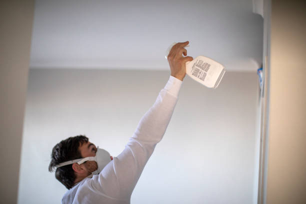 Best Fast Mold Removal  in North Plymouth, MA