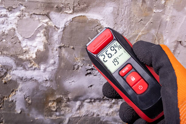 Best Black Mold Removal  in North Plymouth, MA