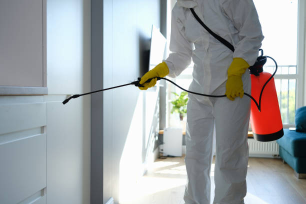 Mold Removal Process in North Plymouth, MA