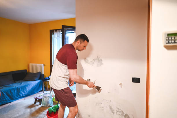 Best Crawl Space Mold Removal  in North Plymouth, MA